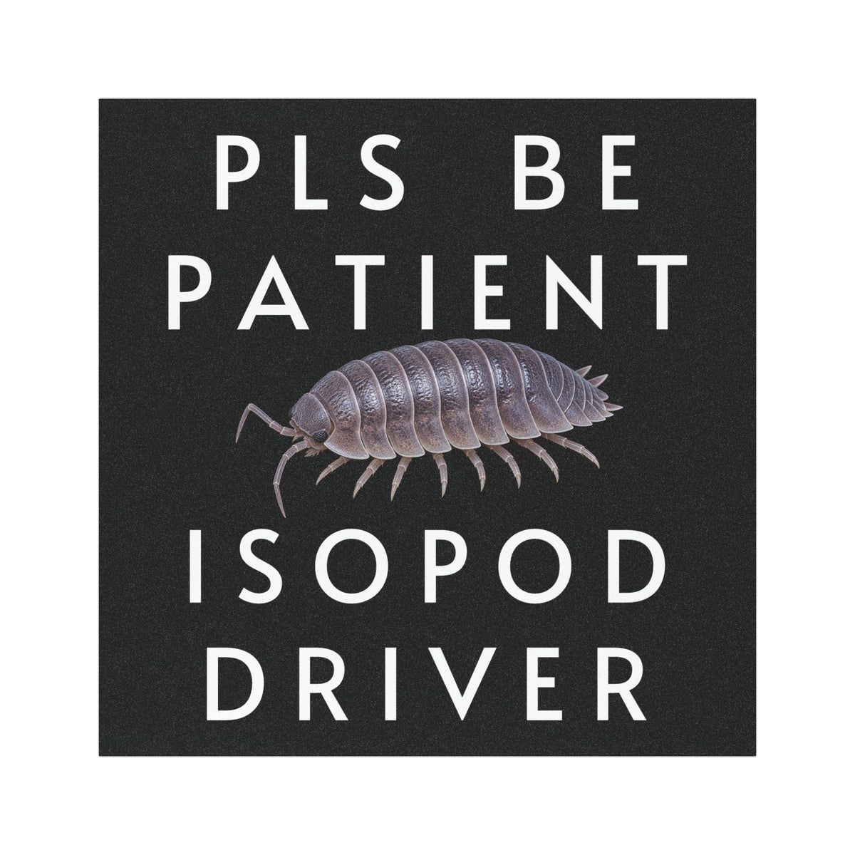 Isopod Driver Car Magnet — Funny "Pls Be Patient" Cute Rolled Woodlouse Decal